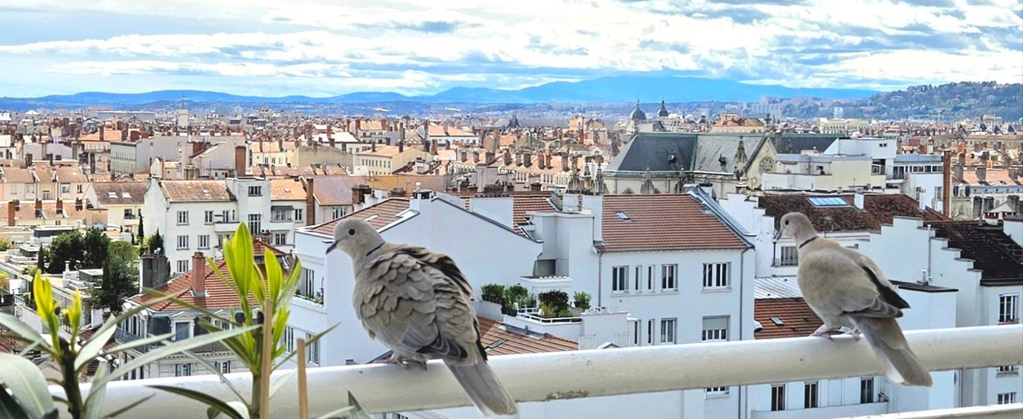 Plein Sud Terrasse Climatisation Garage Netflix Apartment ลียง ภายนอก รูปภาพ